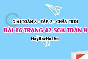 Bài 16 trang 42 Toán 8 Tập 2 Chân trời sáng tạo